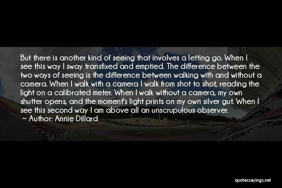 Annie Dillard Seeing Quotes By Annie Dillard