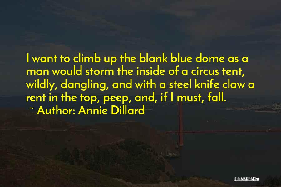 Annie Dillard Seeing Quotes By Annie Dillard