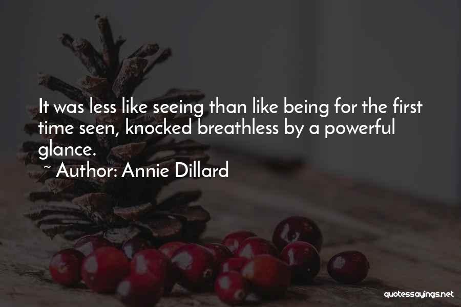 Annie Dillard Seeing Quotes By Annie Dillard