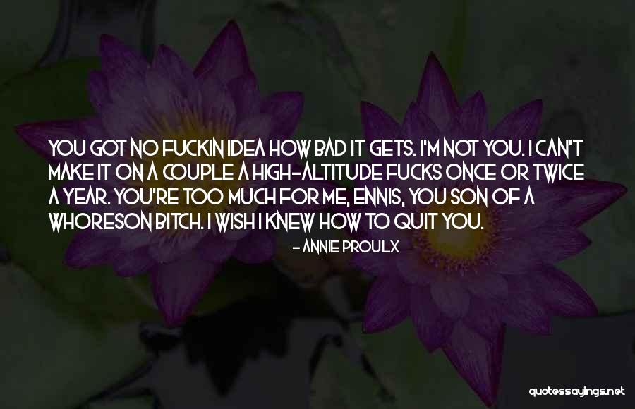 Annie Proulx Quotes 1007809