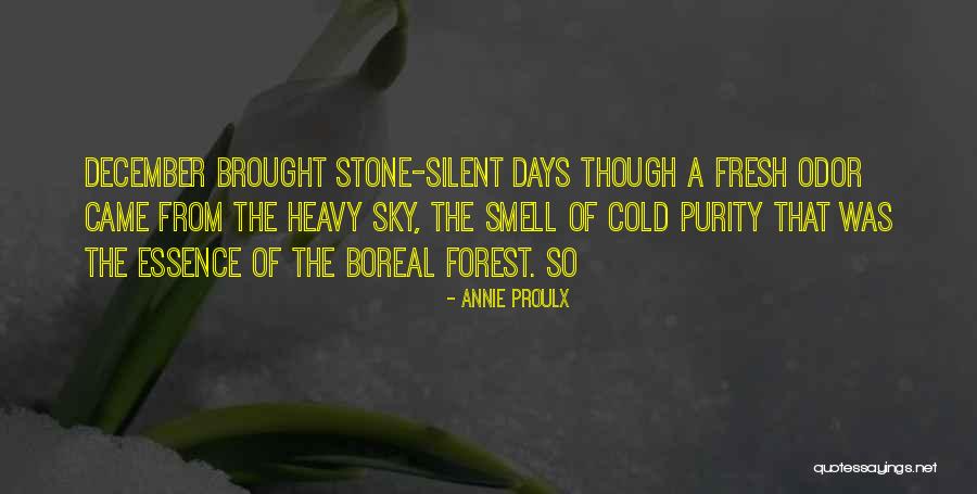 Annie Proulx Quotes 1156806