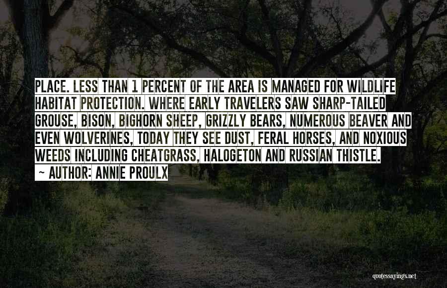 Annie Proulx Quotes 1345799