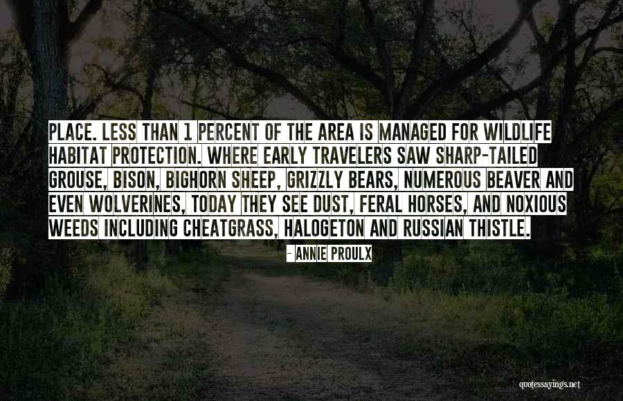 Annie Proulx Quotes 1345799