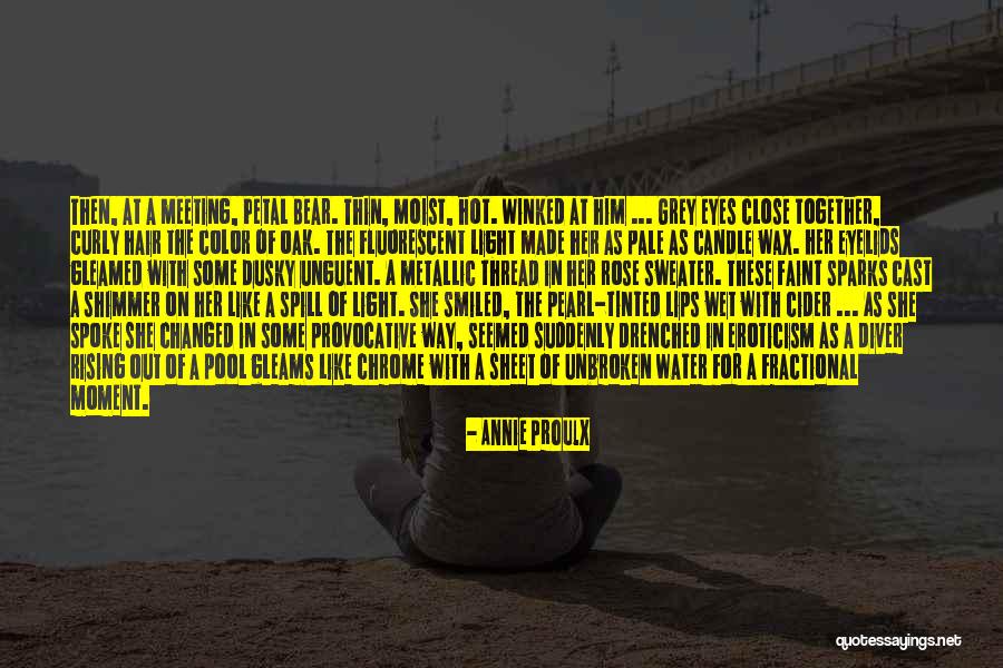 Annie Proulx Quotes 2188324