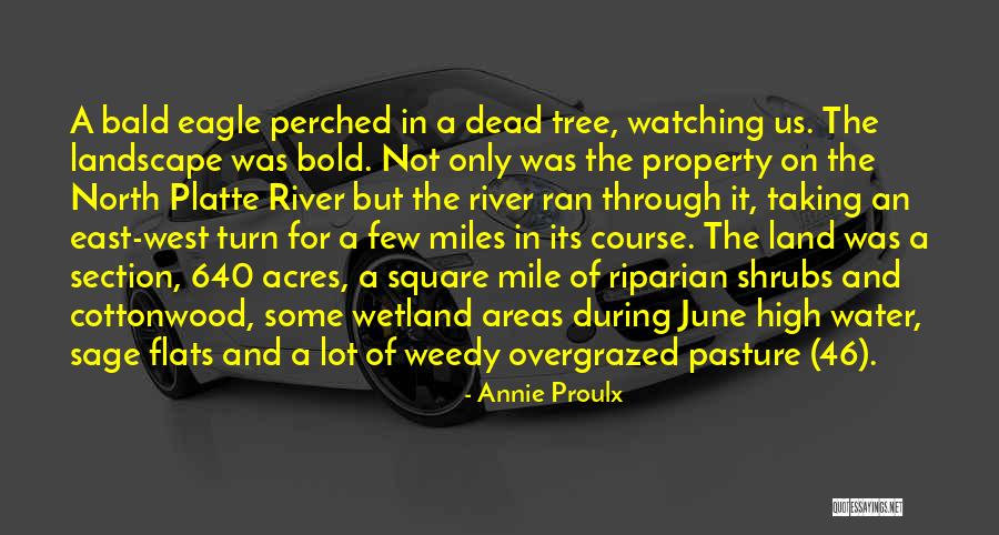 Annie Proulx Quotes 374562