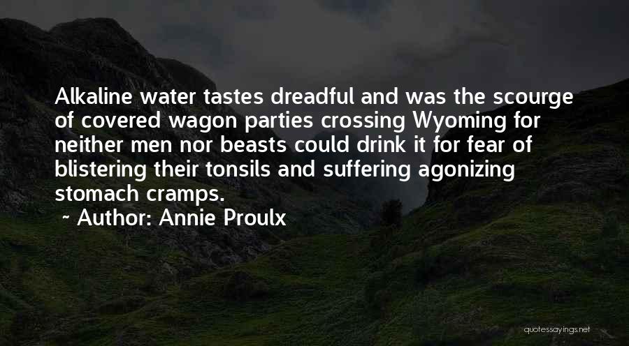 Annie Proulx Quotes 465131