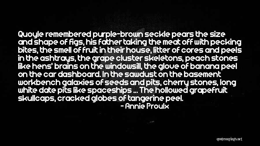 Annie Proulx Quotes 510803