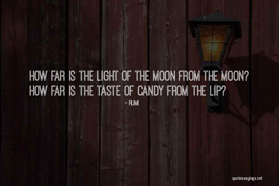 Annikki Hovisaari Quotes By Rumi
