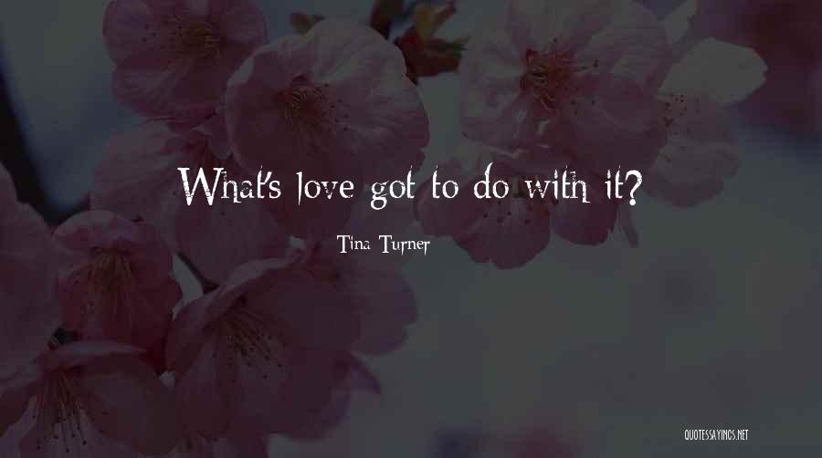 Annina 28 Quotes By Tina Turner