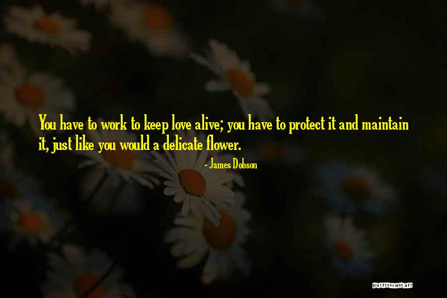 Annoulas Quotes By James Dobson Annoulas Quotes By James Dobson