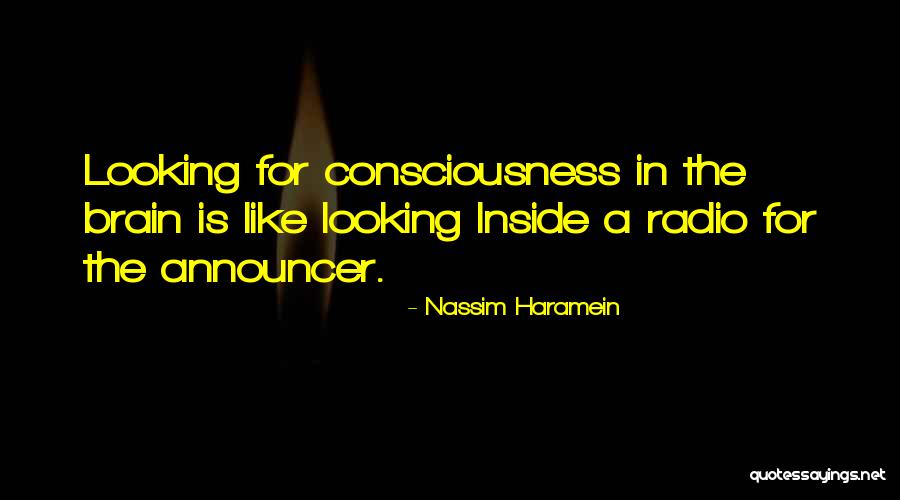 Announcer Quotes By Nassim Haramein