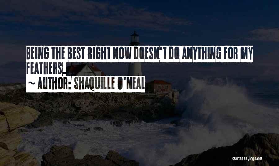 Annoushka Usa Quotes By Shaquille O'Neal