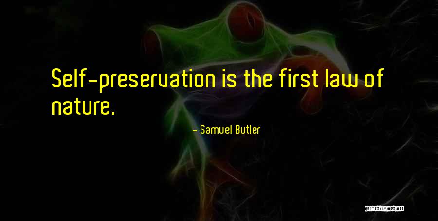 Annunzio Mantovani Quotes By Samuel Butler
