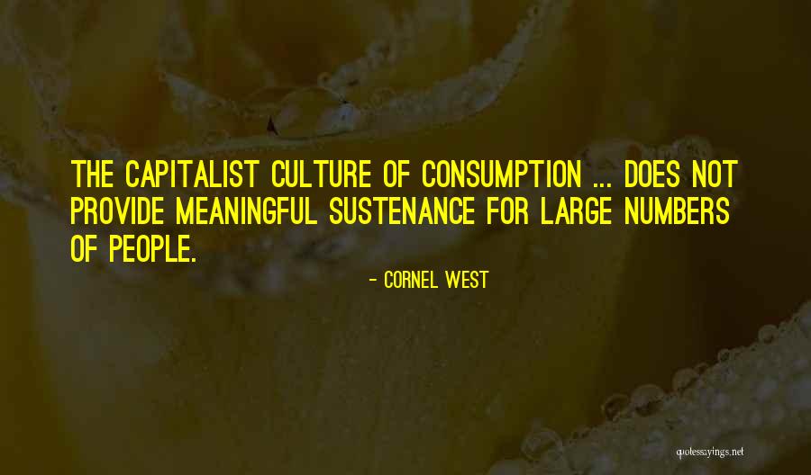 Annuska Shoes Quotes By Cornel West Annuska Shoes Quotes By Cornel West