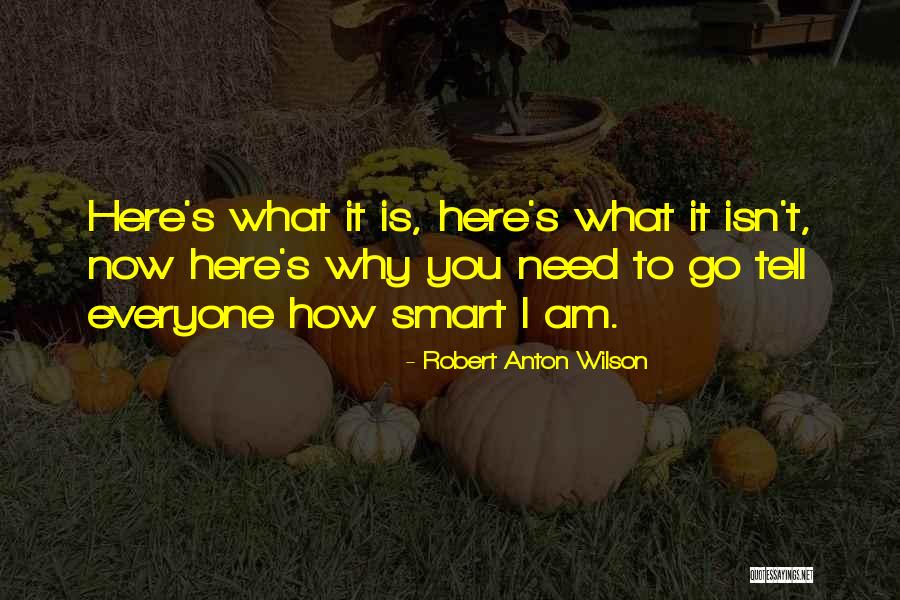 Anochecer Desde Quotes By Robert Anton Wilson Anochecer Desde Quotes By Robert Anton Wilson