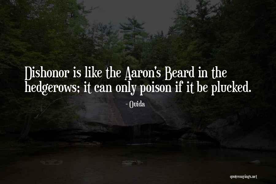 Anochecer In English Quotes By Ouida Anochecer In English Quotes By Ouida