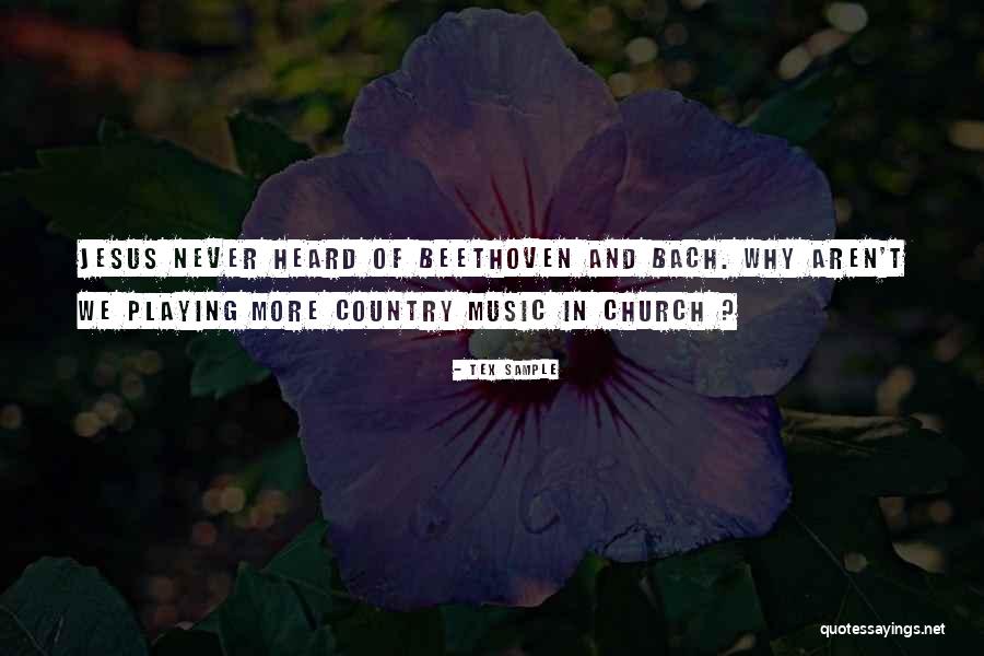 Anomalie Music Quotes By Tex Sample Anomalie Music Quotes By Tex Sample