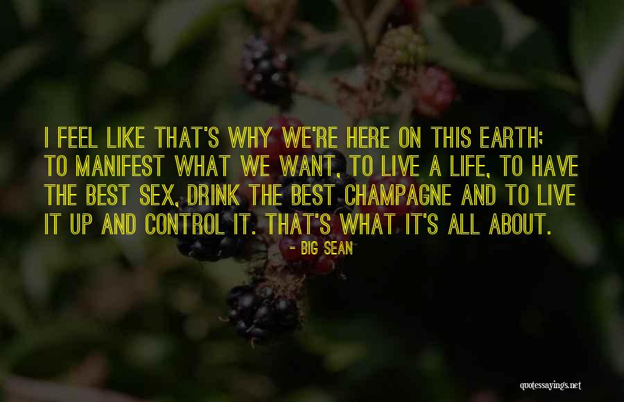 Anoonimus Quotes By Big Sean Anoonimus Quotes By Big Sean