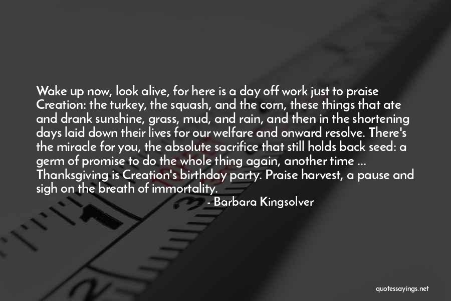 Another Birthday Quotes By Barbara Kingsolver