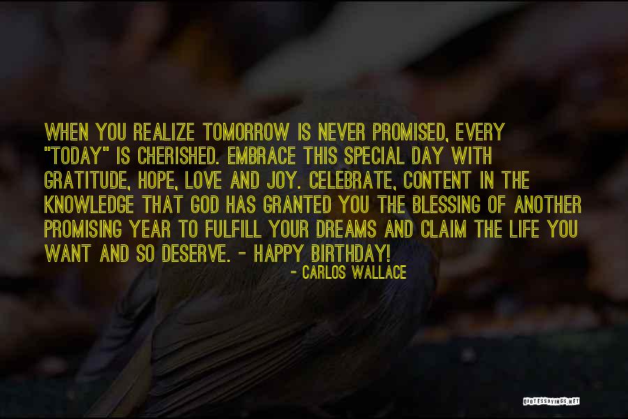 Another Birthday Quotes By Carlos Wallace Another Birthday Quotes By Carlos Wallace
