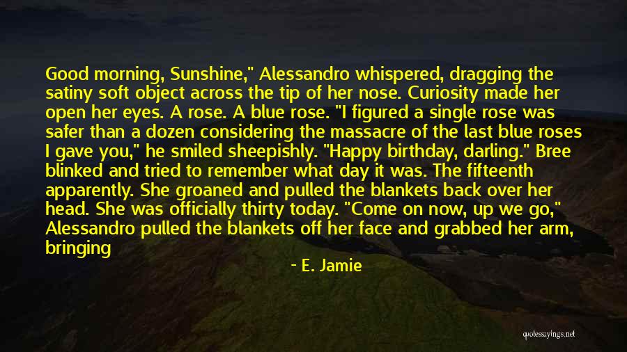 Another Birthday Quotes By E. Jamie