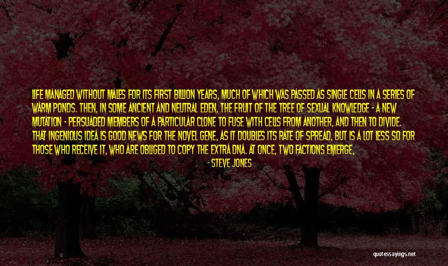 Another Chance At Life Quotes By Steve Jones