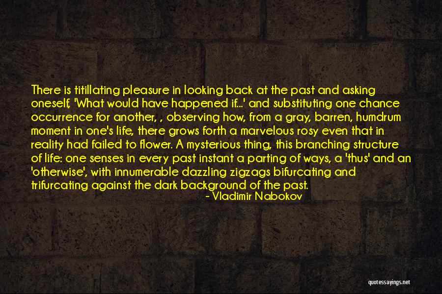 Another Chance At Life Quotes By Vladimir Nabokov Another Chance At Life Quotes By Vladimir Nabokov