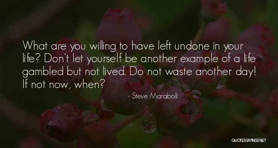 Another Day Of Life Quotes By Steve Maraboli