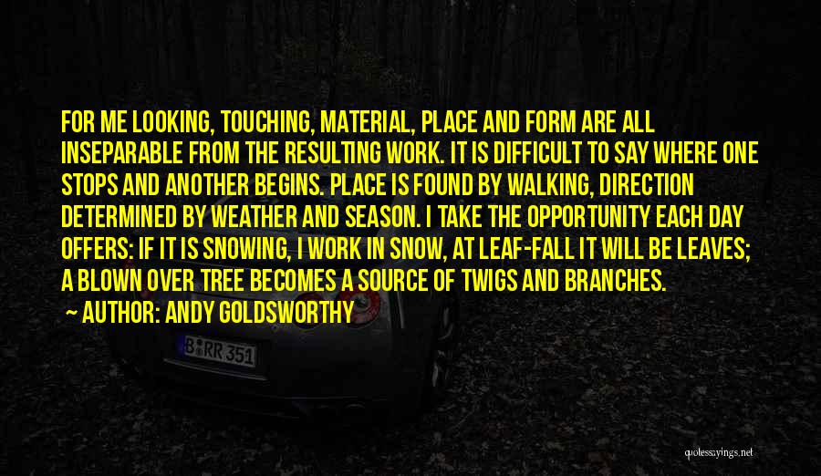 Another Day Quotes By Andy Goldsworthy