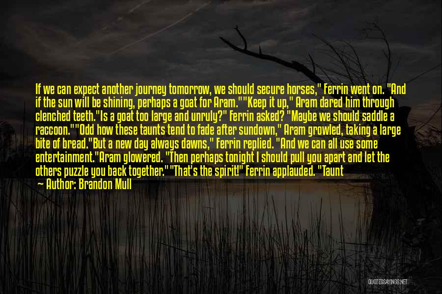 Another Day Tomorrow Quotes By Brandon Mull
