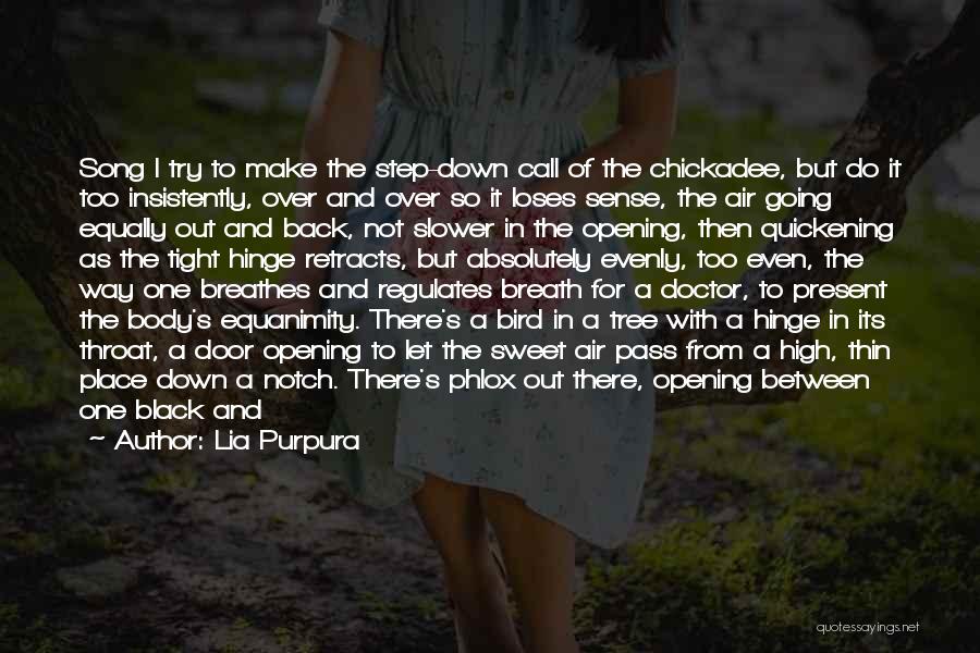 Another Door Opening Quotes By Lia Purpura