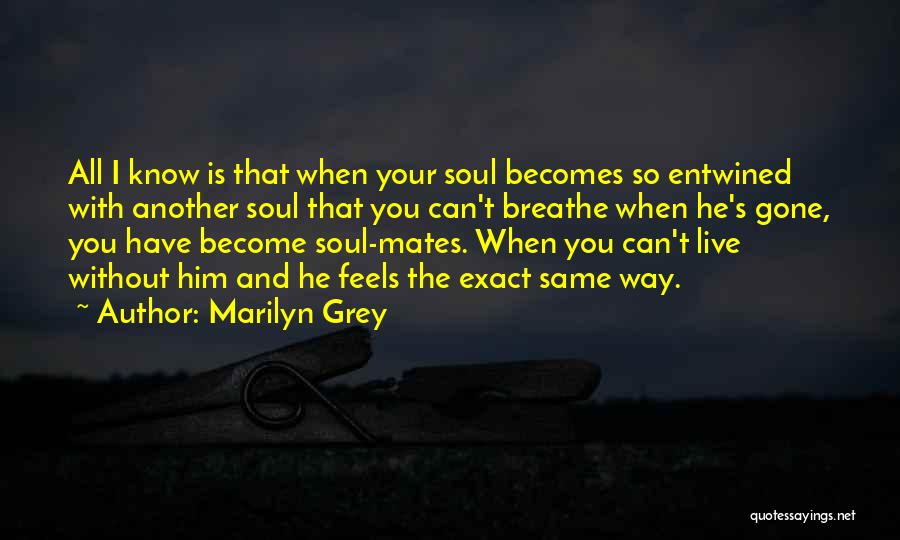 Another Love Quotes By Marilyn Grey