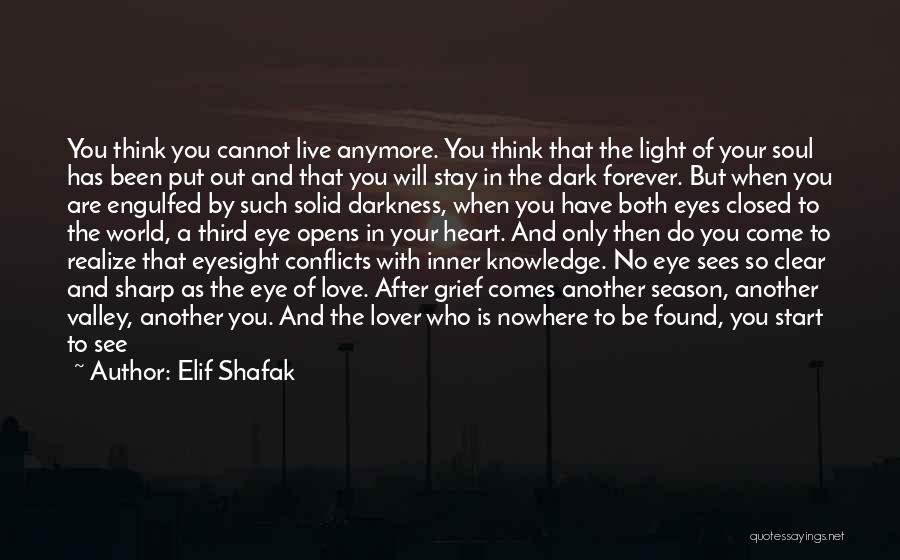 Another Lover Quotes By Elif Shafak