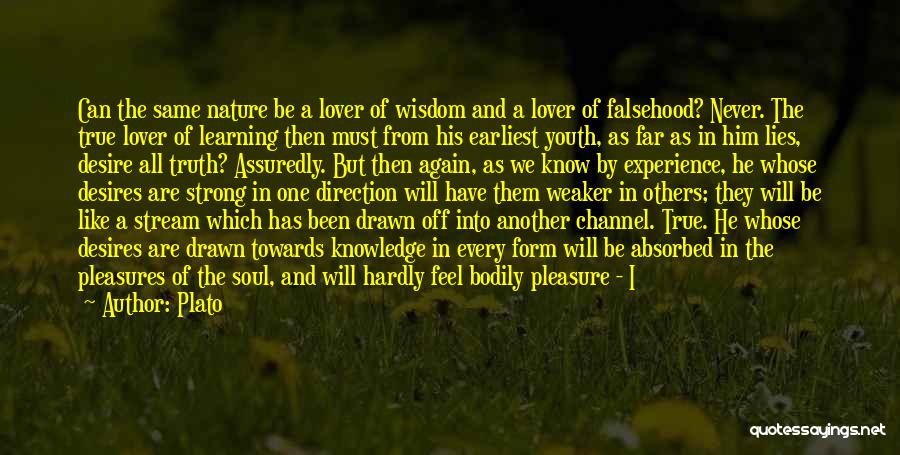 Another Lover Quotes By Plato