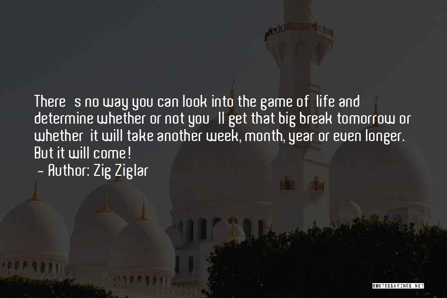 Another Month Another Year Quotes By Zig Ziglar