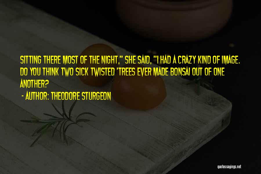 Another Night Without You Quotes By Theodore Sturgeon