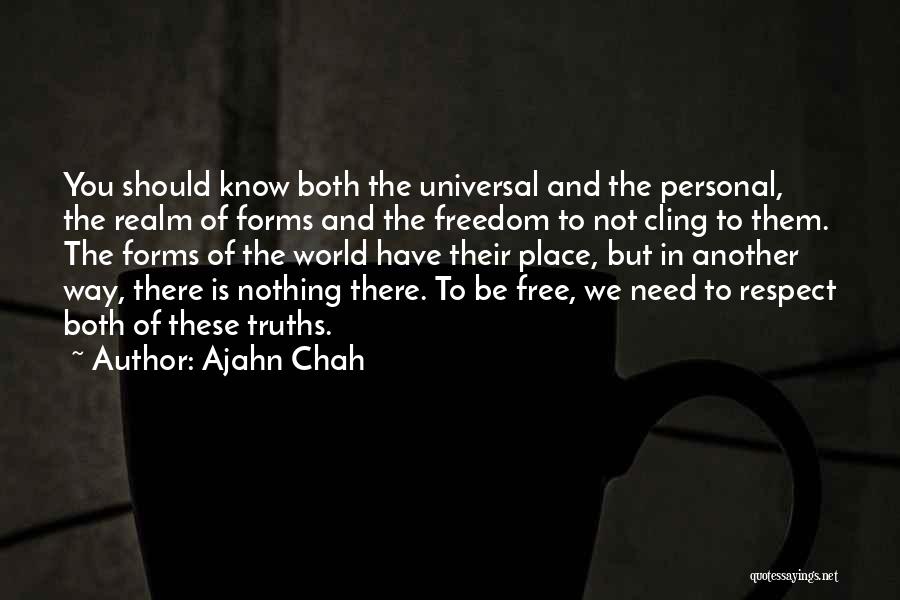 Another Realm Quotes By Ajahn Chah