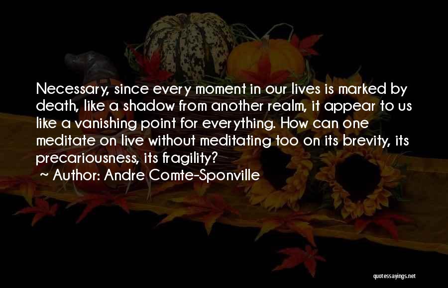 Another Realm Quotes By Andre Comte-Sponville