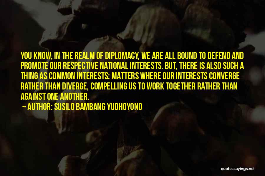 Another Realm Quotes By Susilo Bambang Yudhoyono