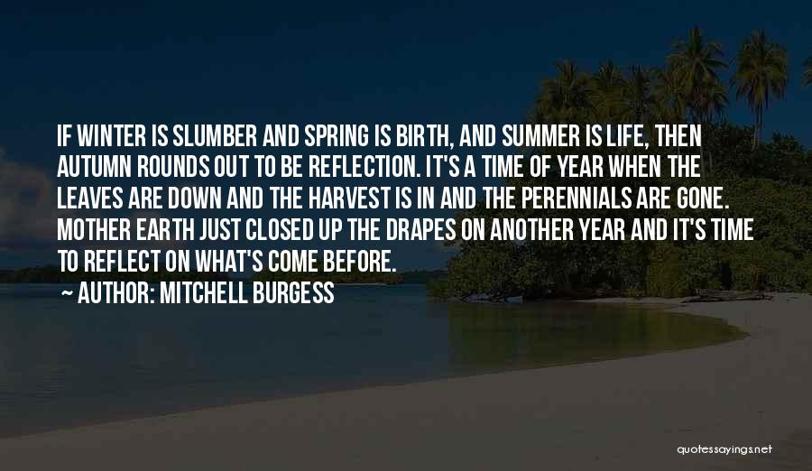 Another Year Gone Quotes By Mitchell Burgess