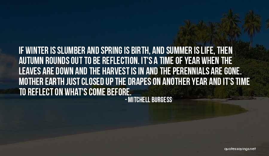 Another Year Of Life Quotes By Mitchell Burgess