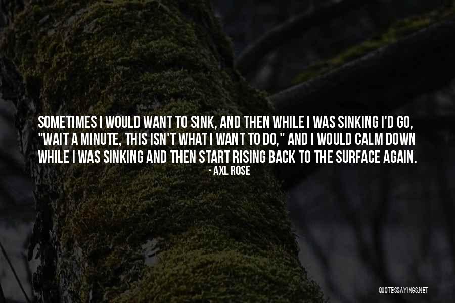 Anotte Theme Quotes By Axl Rose Anotte Theme Quotes By Axl Rose