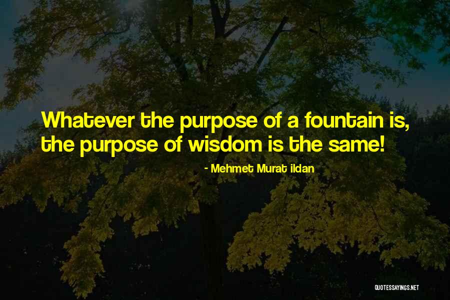 Anousha Sakoui Quotes By Mehmet Murat Ildan Anousha Sakoui Quotes By Mehmet Murat Ildan
