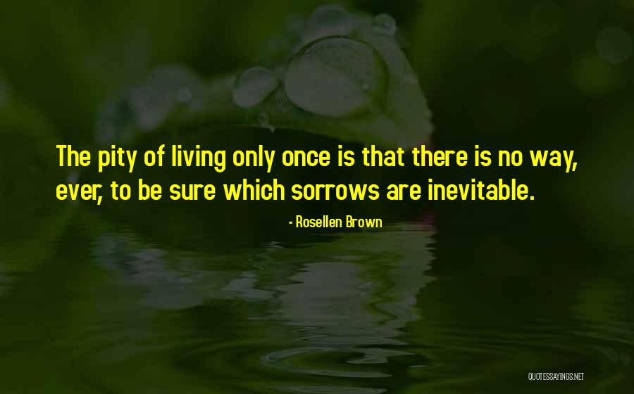 Anrus Quotes By Rosellen Brown Anrus Quotes By Rosellen Brown