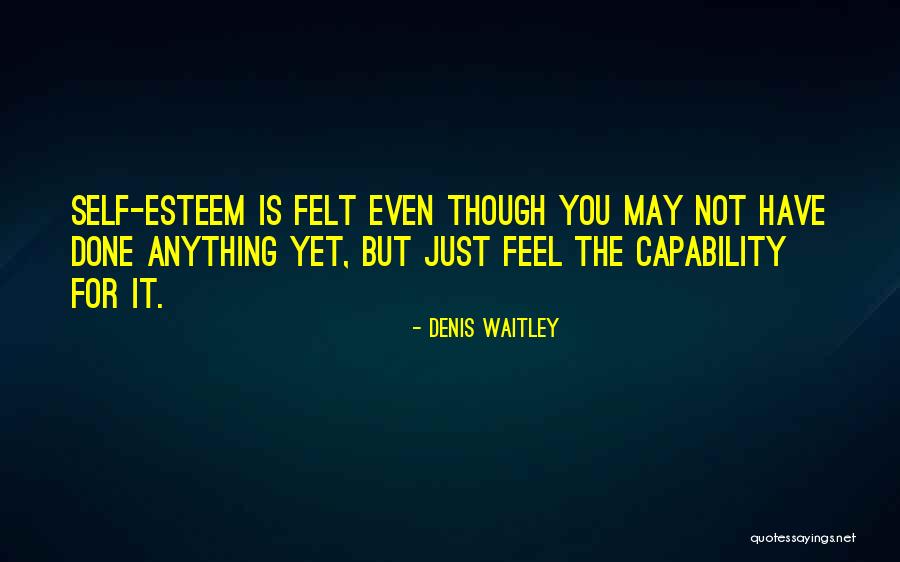 Ansaldo Jugueteria Quotes By Denis Waitley Ansaldo Jugueteria Quotes By Denis Waitley