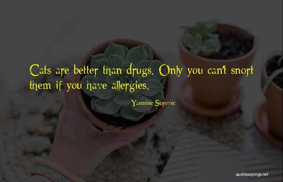 Ansaloni Costruzioni Quotes By Yasmine Surovec Ansaloni Costruzioni Quotes By Yasmine Surovec