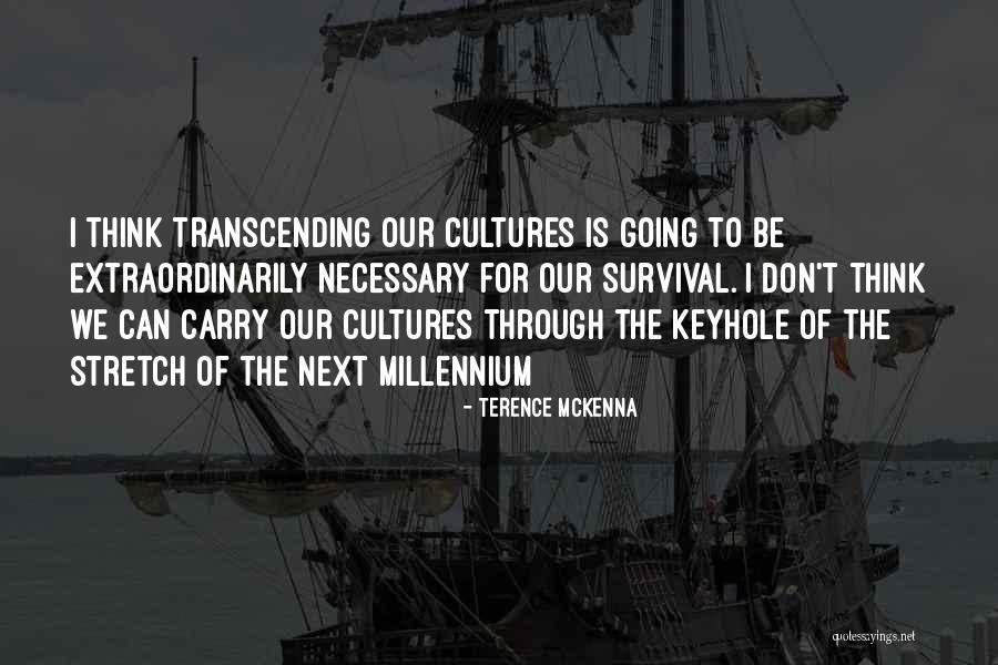 Ansamblul Rezidential Timisoara Quotes By Terence McKenna Ansamblul Rezidential Timisoara Quotes By Terence McKenna