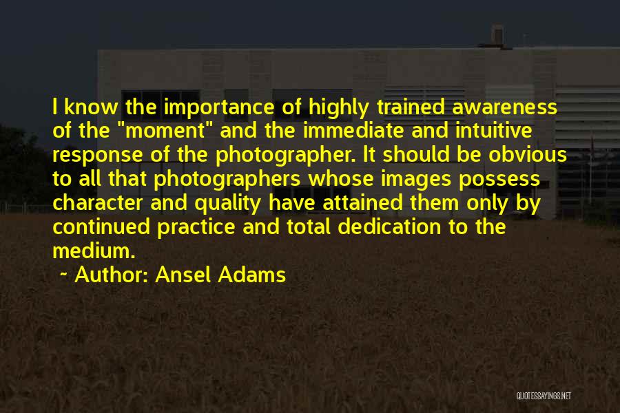 Ansel Adams Quotes 1120024