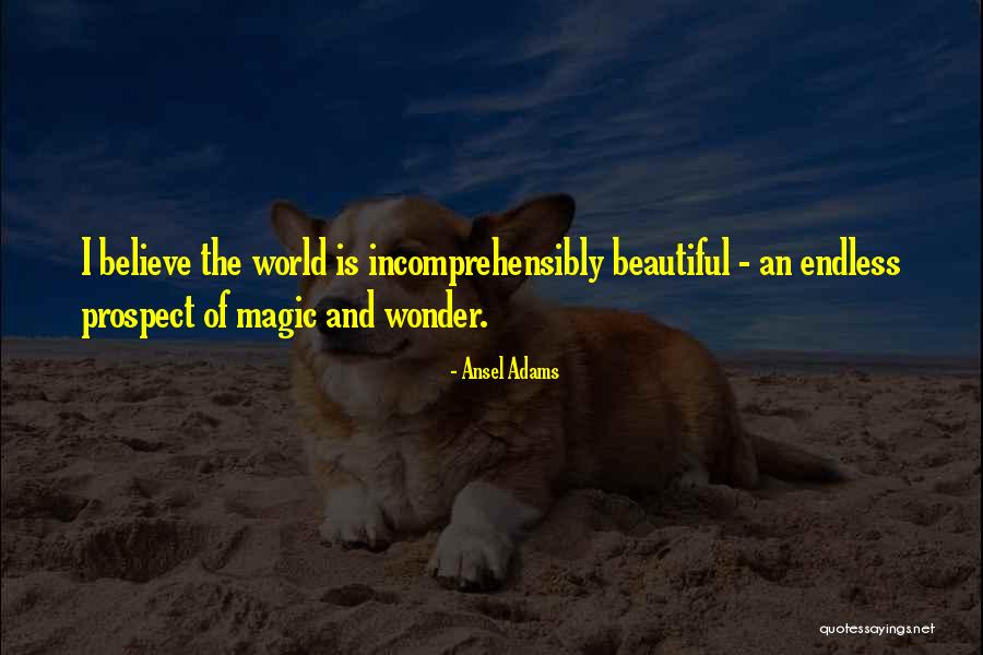 Ansel Adams Quotes 1437372 Ansel Adams Quotes 1437372