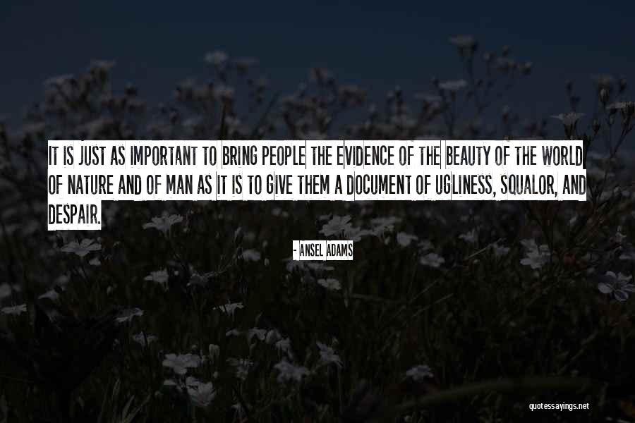 Ansel Adams Quotes 1528801 Ansel Adams Quotes 1528801
